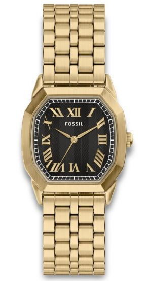 Fossil FS6213