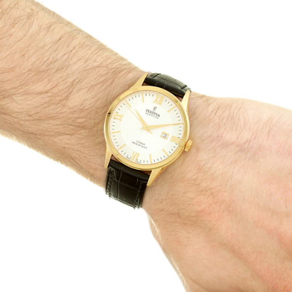 ClassicWatches.bg Festina F20010/2 снимка


