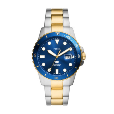 Fossil FS6034