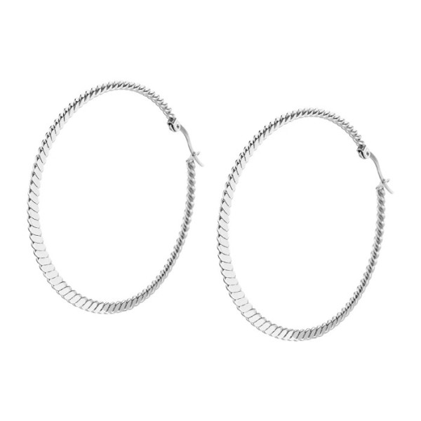 LOTUS STYLE STEEL EARRINGS LS1952-4/1