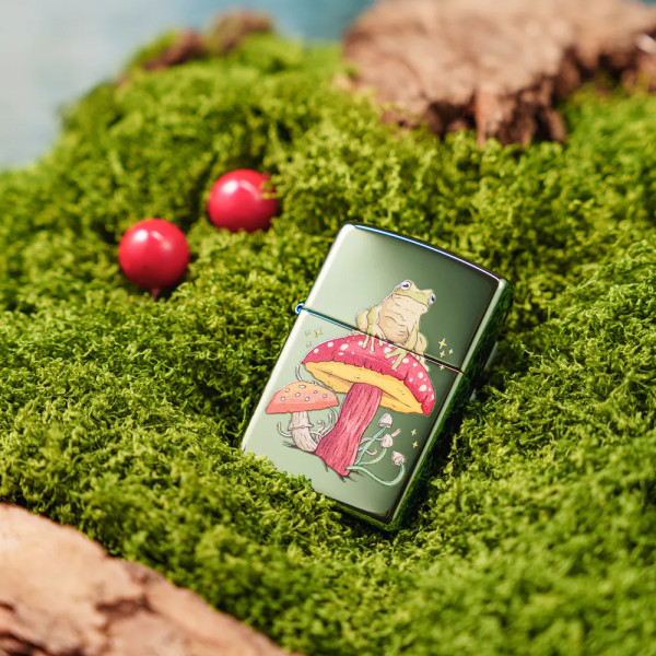 Запалка Zippo - Mystical Frog Design