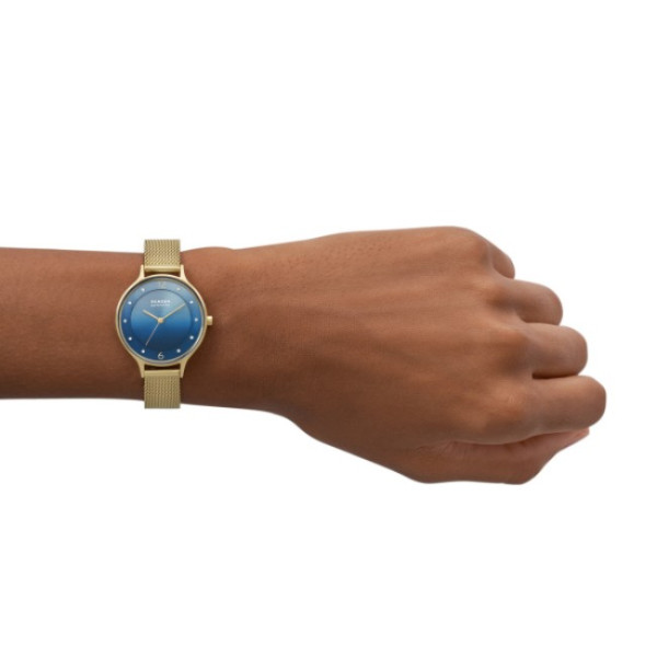 SKAGEN ANITA LILLE 30MM LADIE'S WATCH SKW3058