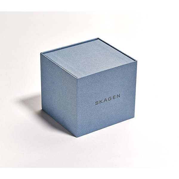 SKAGEN ANITA 30MM LADIES WATCH SKW2905