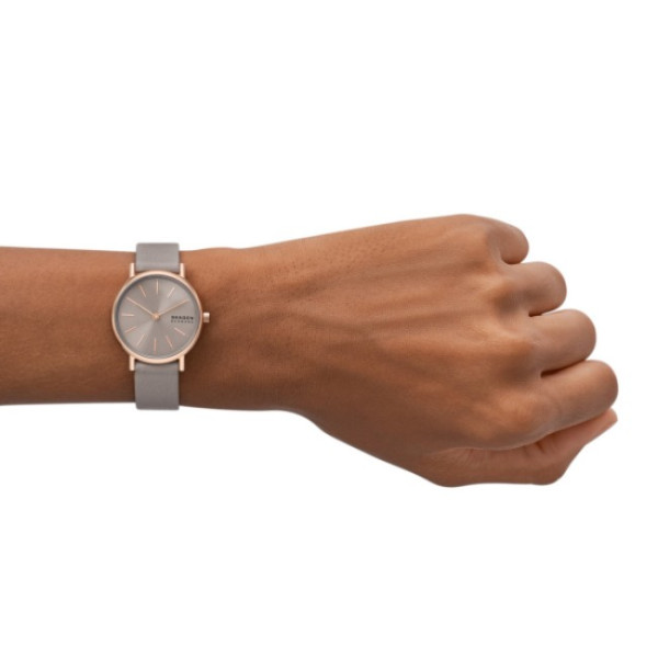 Skagen SKW3060