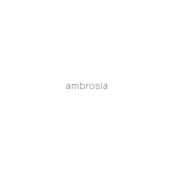 COMETE AMBROSIA ЗЛАТНО КОЛИЕ С ЦИРКОНИИ  AGZ116