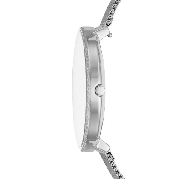 SKAGEN KAROLINA 38MM LADIES WATCH SKW2725