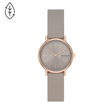 Skagen SKW3060