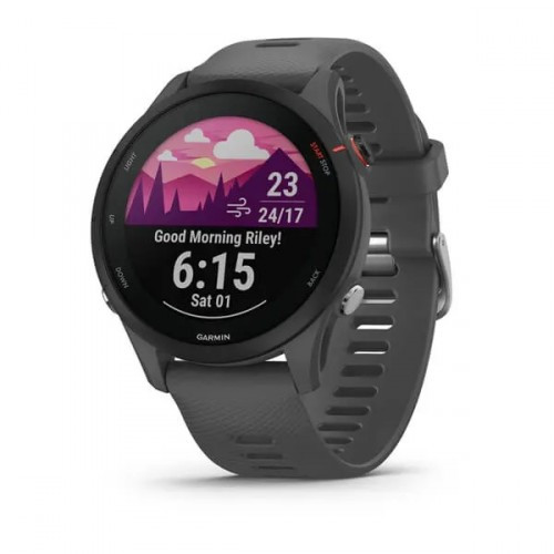 GARMIN FORERUNNER® 255 SLATE GRAY 46MM 010-02641-10