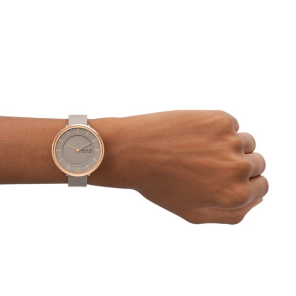 Skagen SKW3061