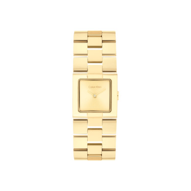 ЧАСОВНИК CALVIN KLEIN MERIDIAN 22MM 25100089