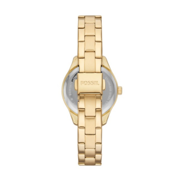 Fossil BQW3638