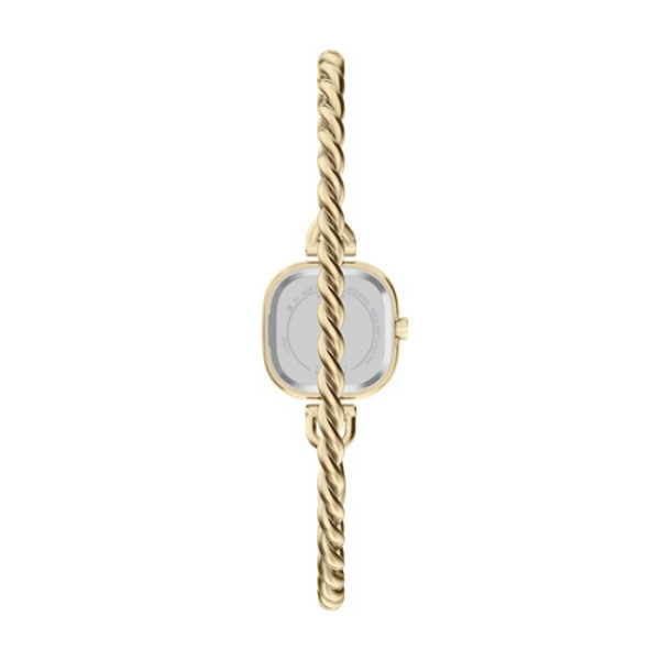 Skagen SKW3181