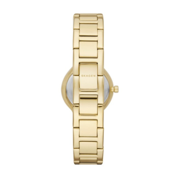 Skagen SKW3167