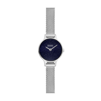 Skagen SKW3172