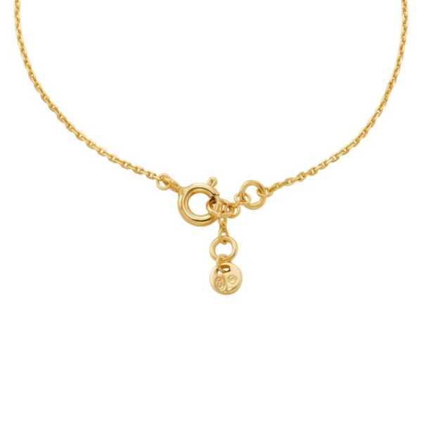 Michael Kors MKC1730CZ710