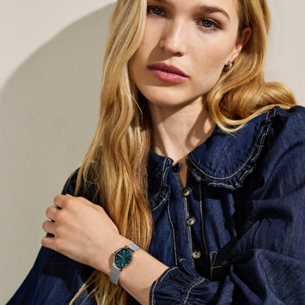 Skagen SKW3188