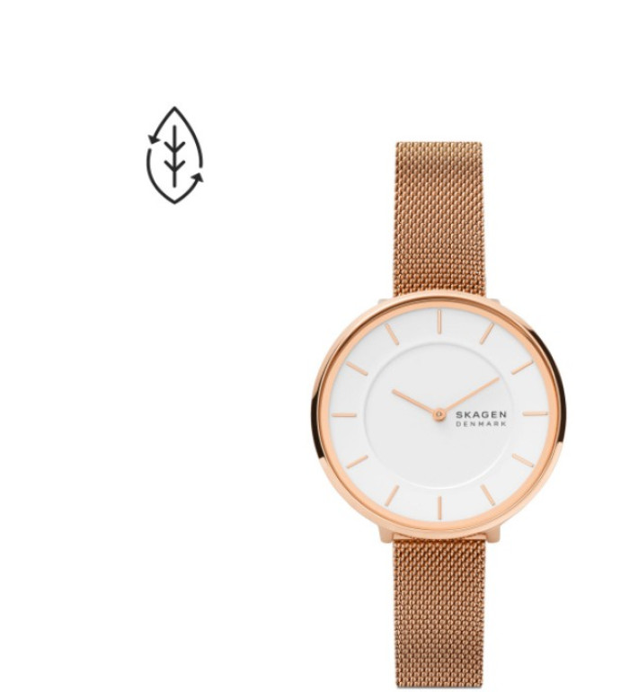 Skagen SKW3013