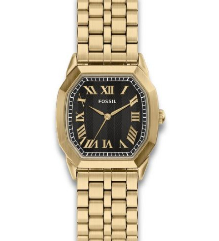 Fossil FS6213