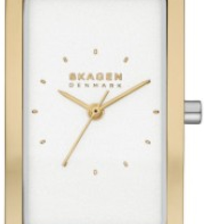 Skagen SKW3156