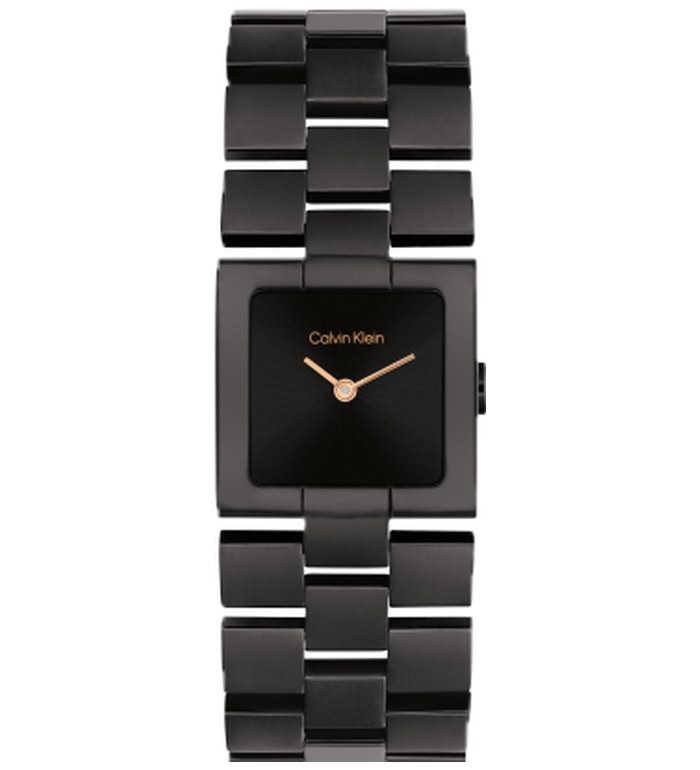 ЧАСОВНИК CALVIN KLEIN MERIDIAN 22MM 25100091