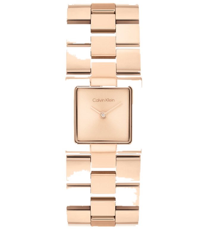 ЧАСОВНИК CALVIN KLEIN MERIDIAN 22MM 25100090