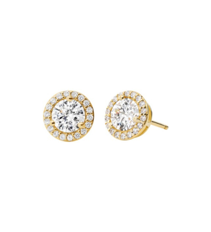 Michael Kors MKC1035AN710