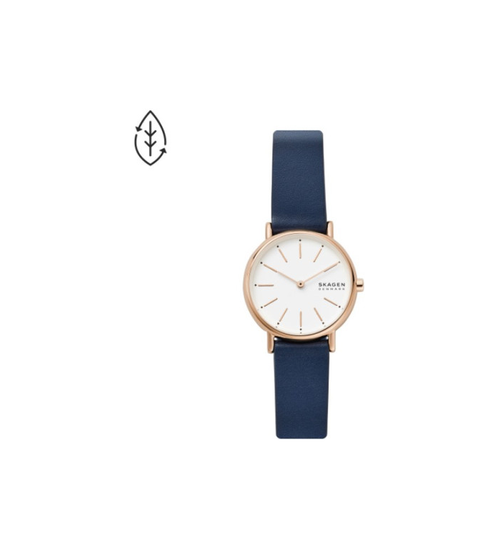Skagen SKW2838