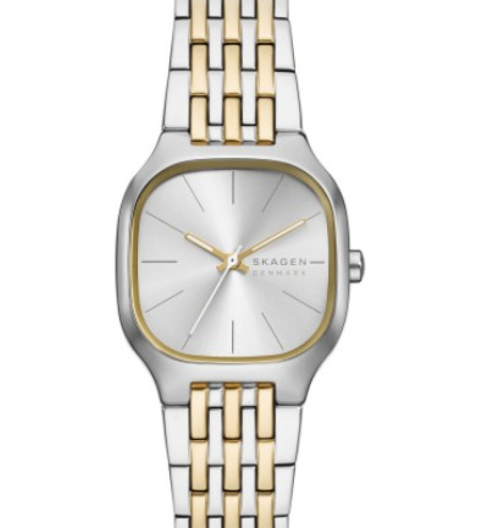 Skagen SKW3160