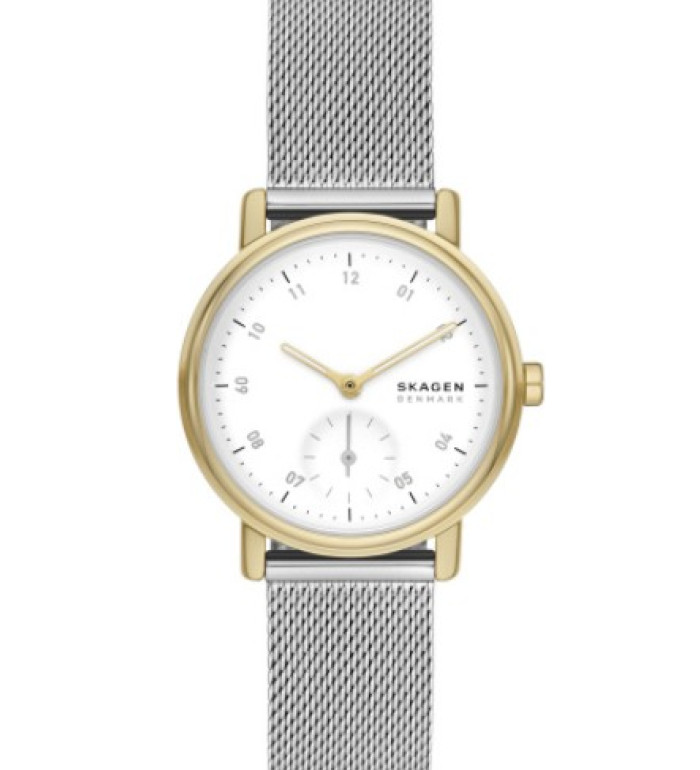 Skagen SKW3101