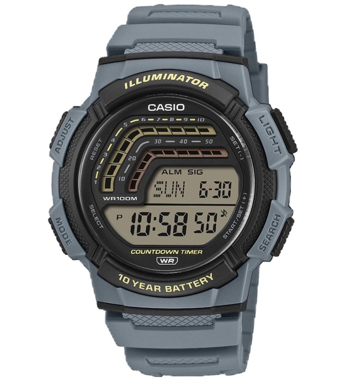ЧАСОВНИК CASIO COLLECTION WS-1800-2AVEF