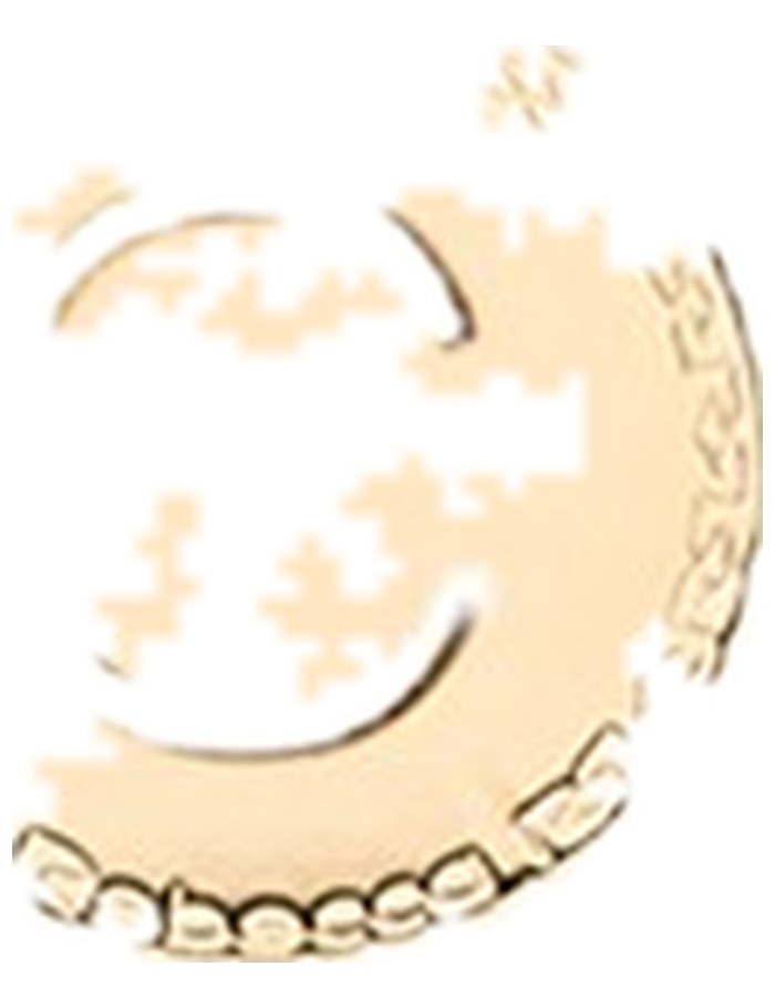 Rebecca Charms BWVKOC03