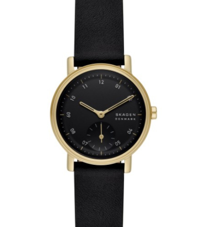 Skagen SKW3114