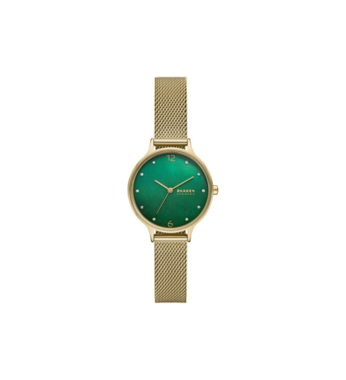 Skagen SKW3145