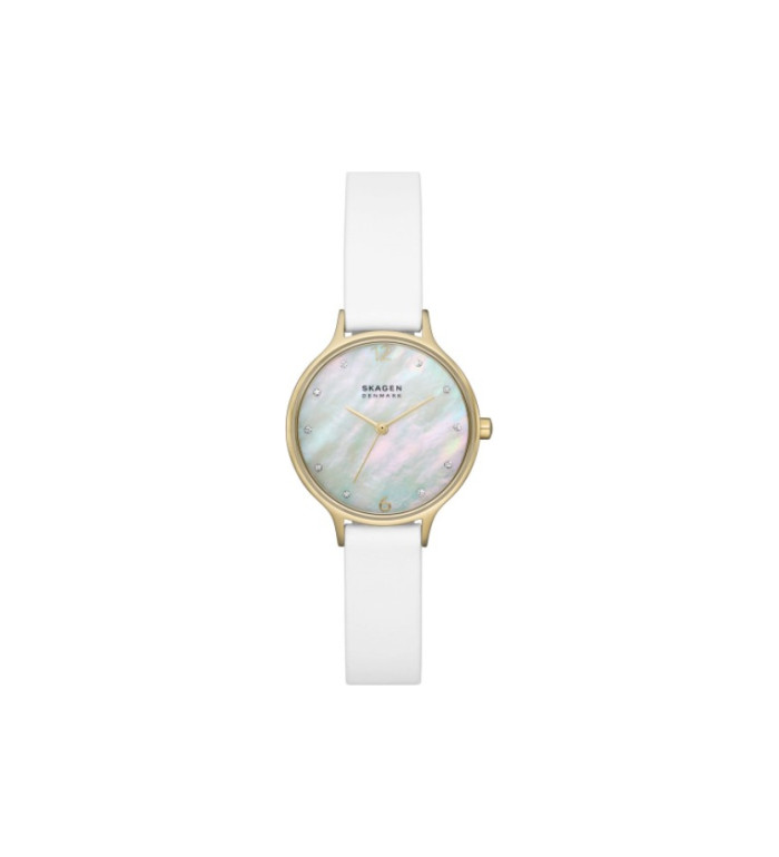 Skagen SKW3138