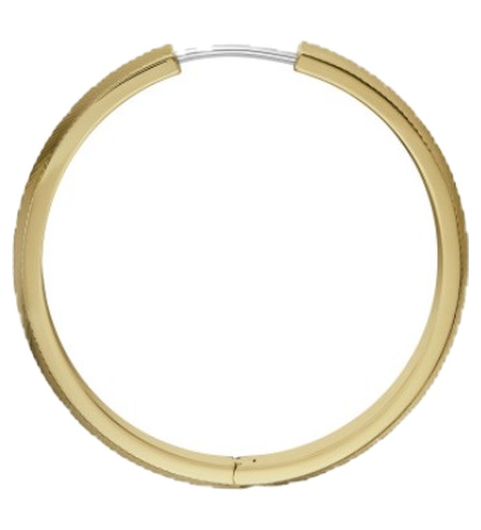 Fossil JF04538710