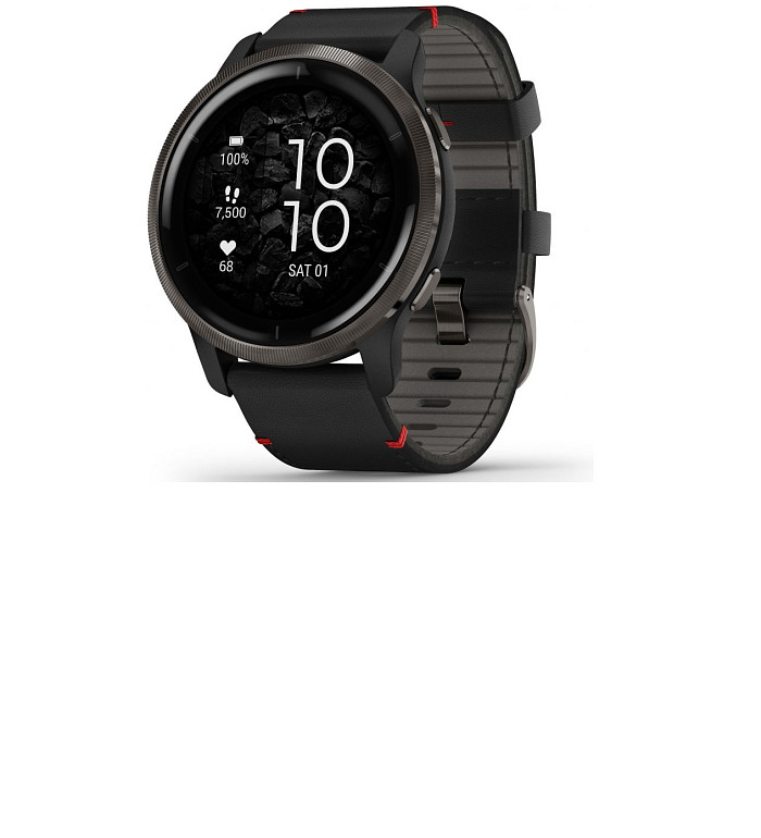 GARMIN VENU® 2 SLATE/BLACK 45MM 010-02430-21