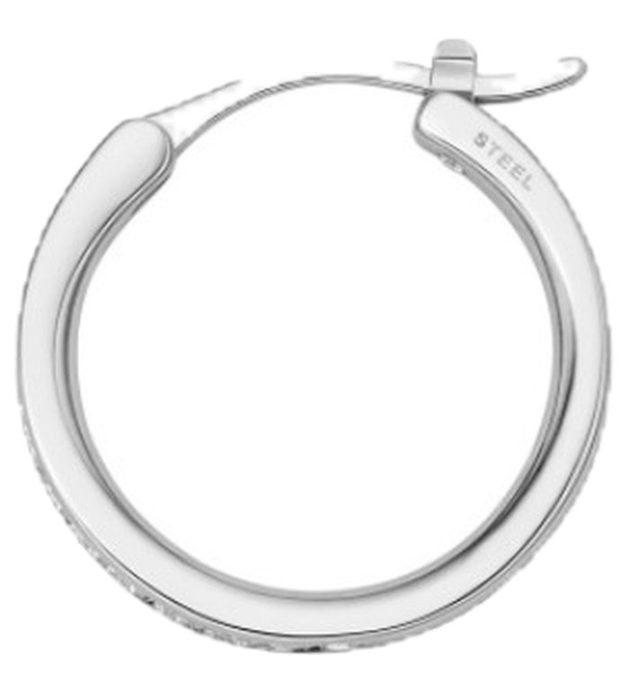 Fossil JOF00337040