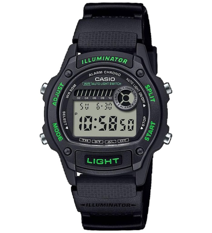 ЧАСОВНИК CASIO COLLECTION W-220H-1A3VEF