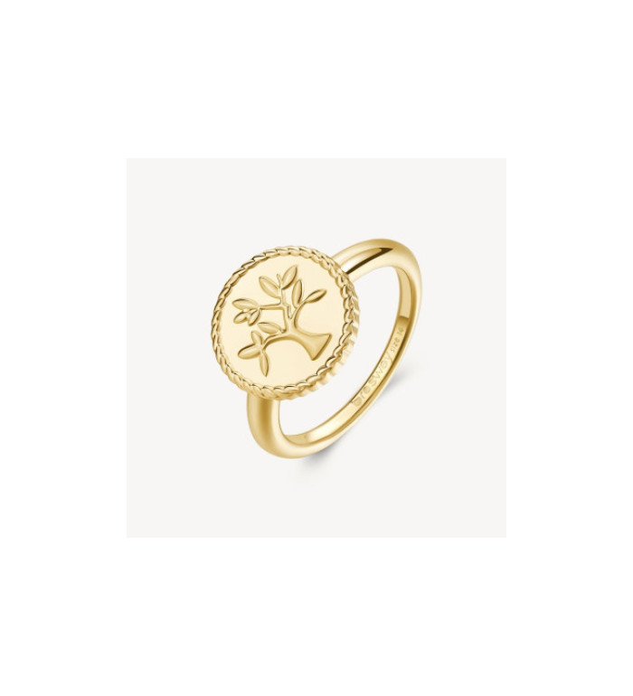 Пръстен Brosway Chakra Mystic BHKR002B