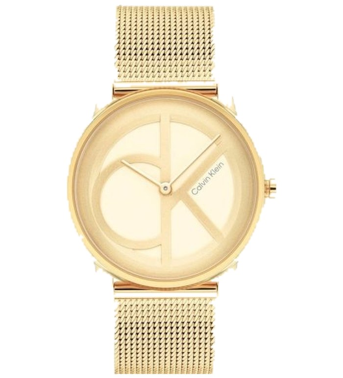 CALVIN KLEIN ICONIC MESH 40MM LADIES WATCH 25200034