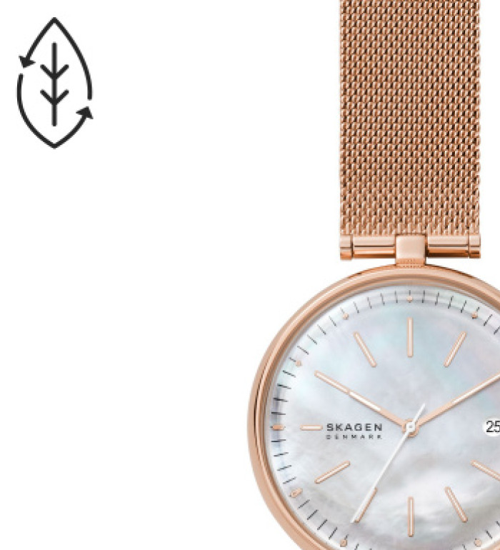 Skagen SKW2980