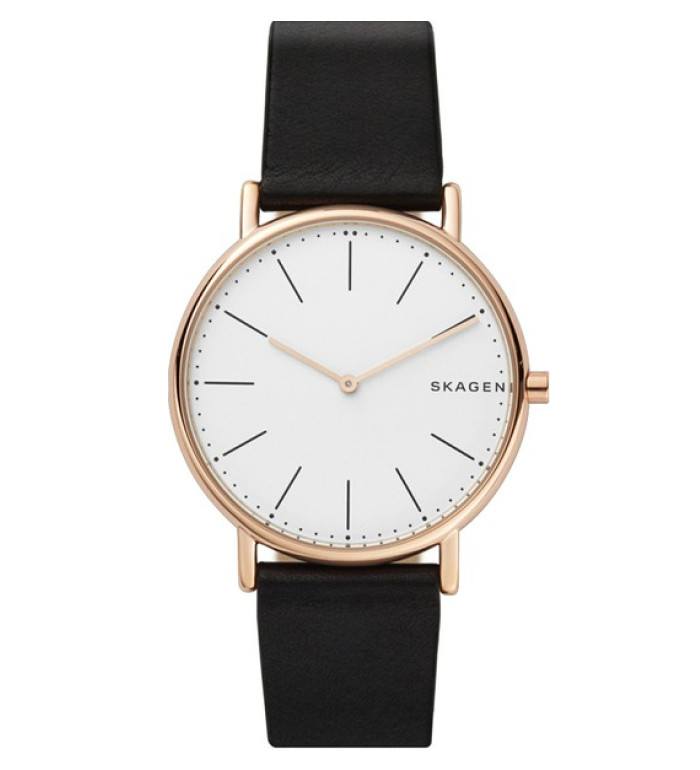 Skagen SKW6430