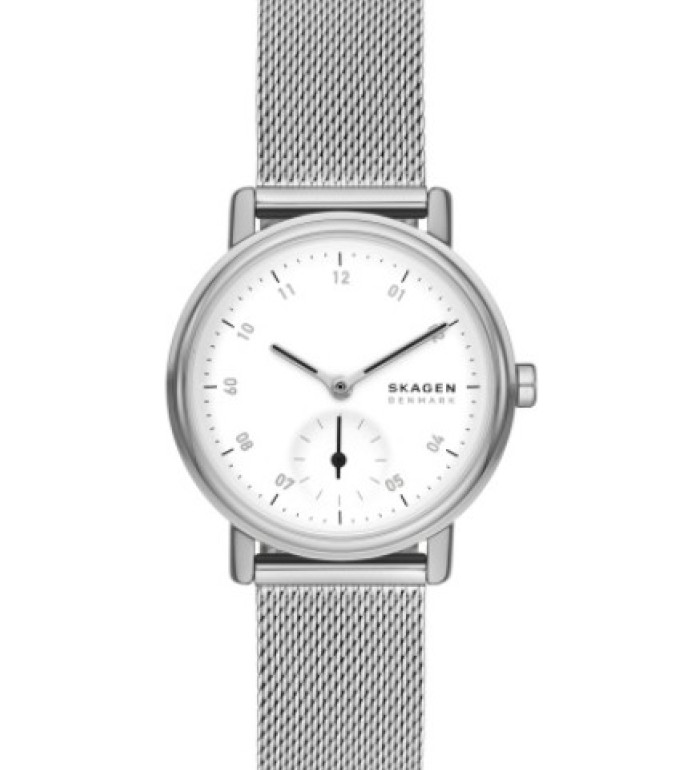 Skagen SKW3100