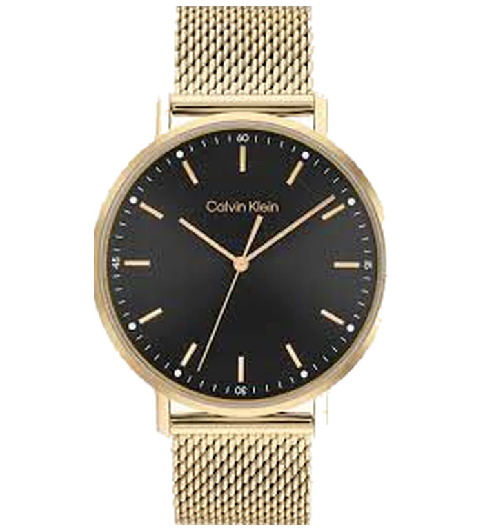 CALVIN KLEIN TIMELESS 42MM LADIES WATCH 25200049