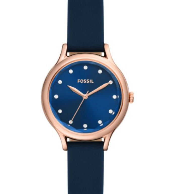 Fossil BQ3858